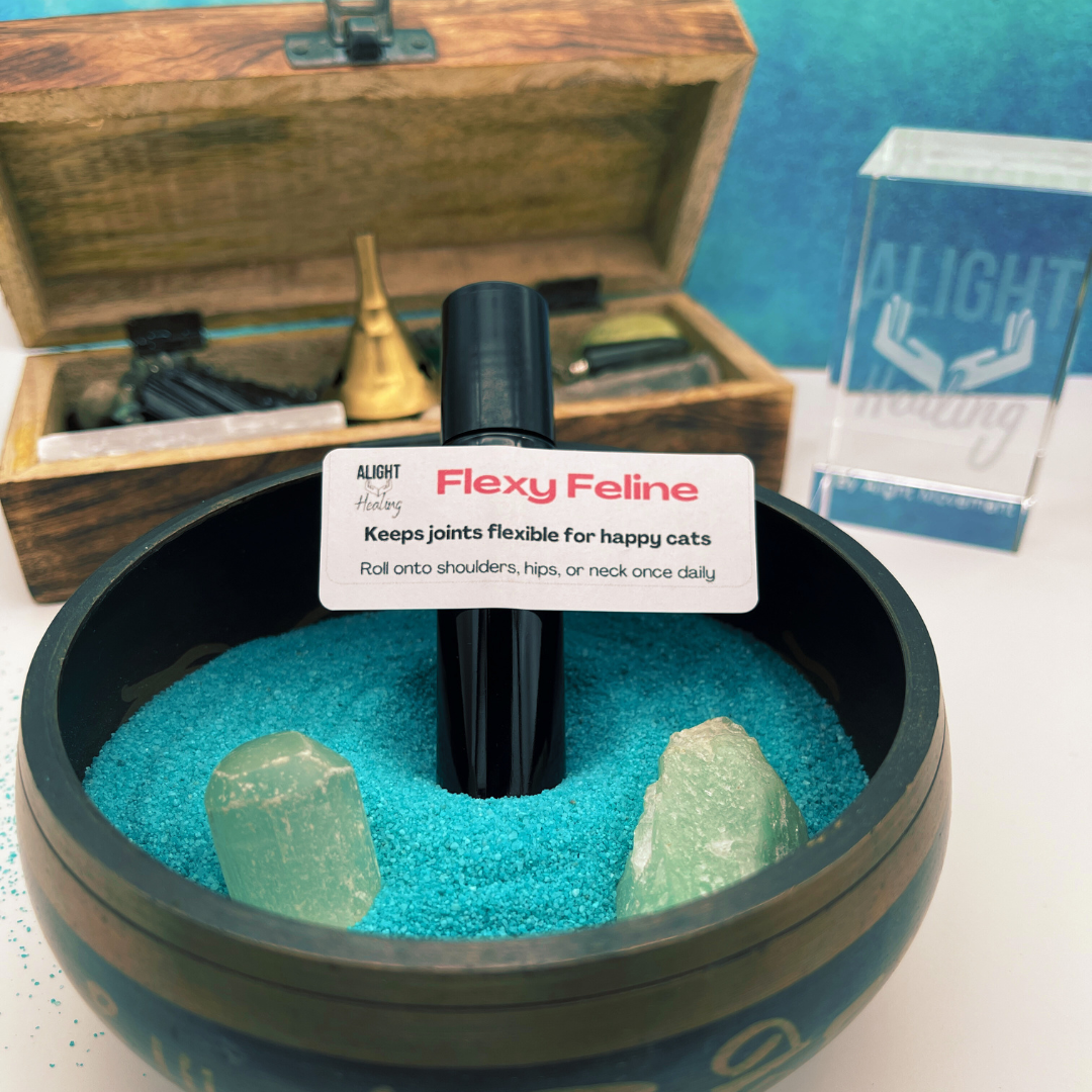 Alight Healing Paws: Reiki Infused Oil Blends For Pet Wellness